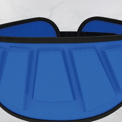 Ceinture pour la musculation - FitnessWaistBelts™ - Bleu - Fitronik